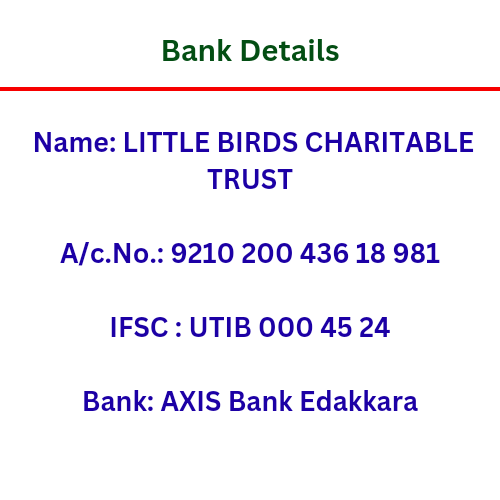 Little Birds Charitable Trust