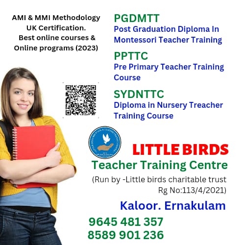 Little Birds Charitable Trust